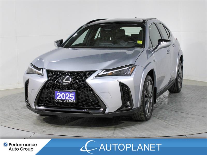 lexus UX 300H 2025