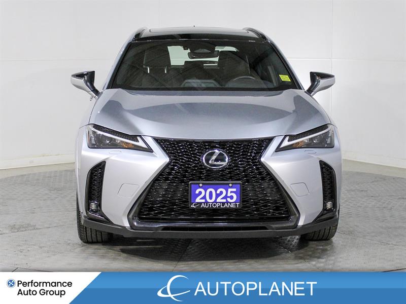 lexus UX 300H 2025 - 2