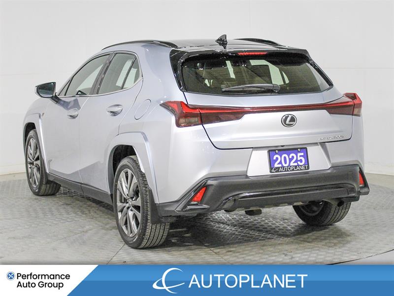 lexus UX 300H 2025 - 5