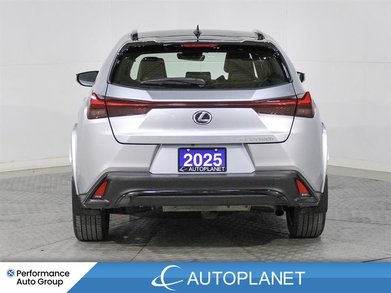 lexus UX 300H 2025 - 7