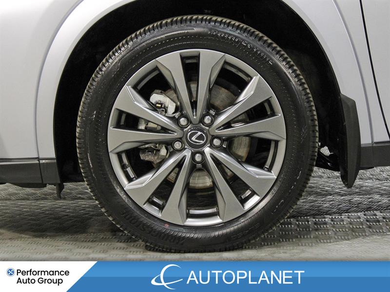lexus UX 300H 2025 - 11