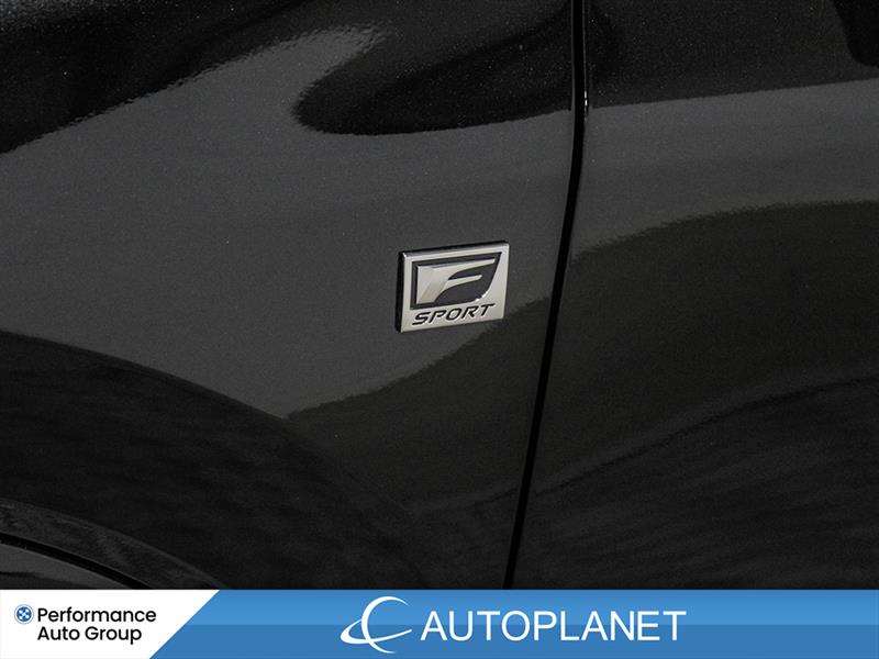lexus RX 500H 2023 - 14