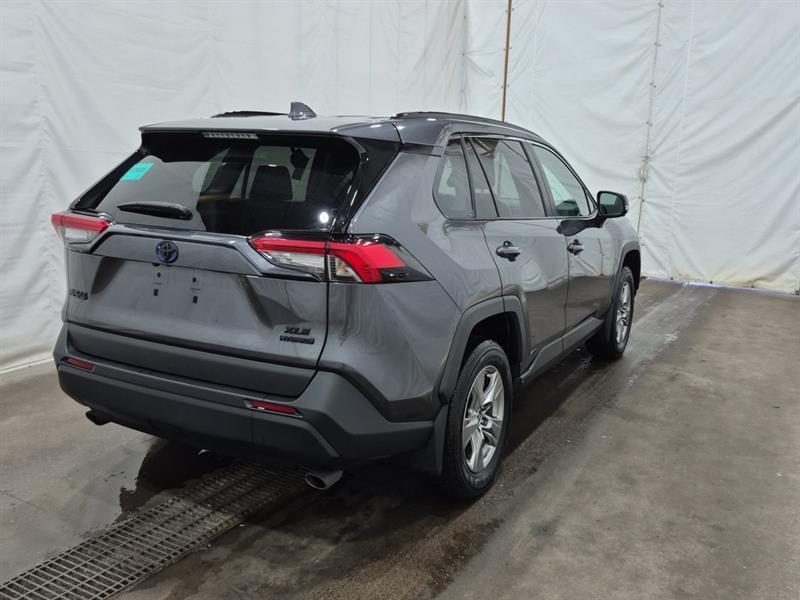 toyota RAV4 Hybrid 2024 - 6