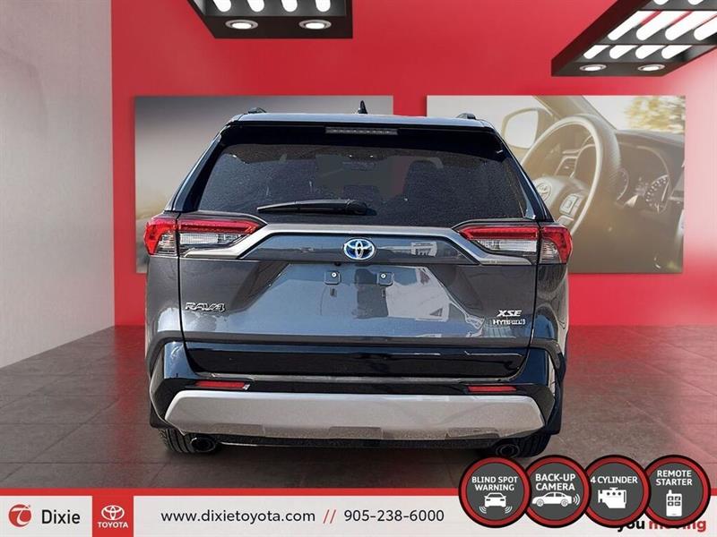 toyota RAV4 2024 - 6
