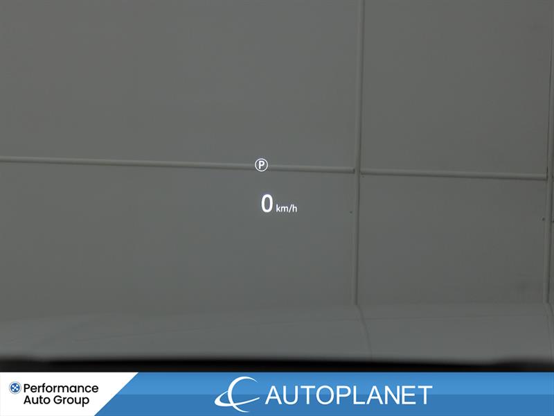 land rover Range Rover 2023 - 24