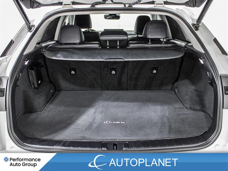 lexus RX 350 2022 - 15