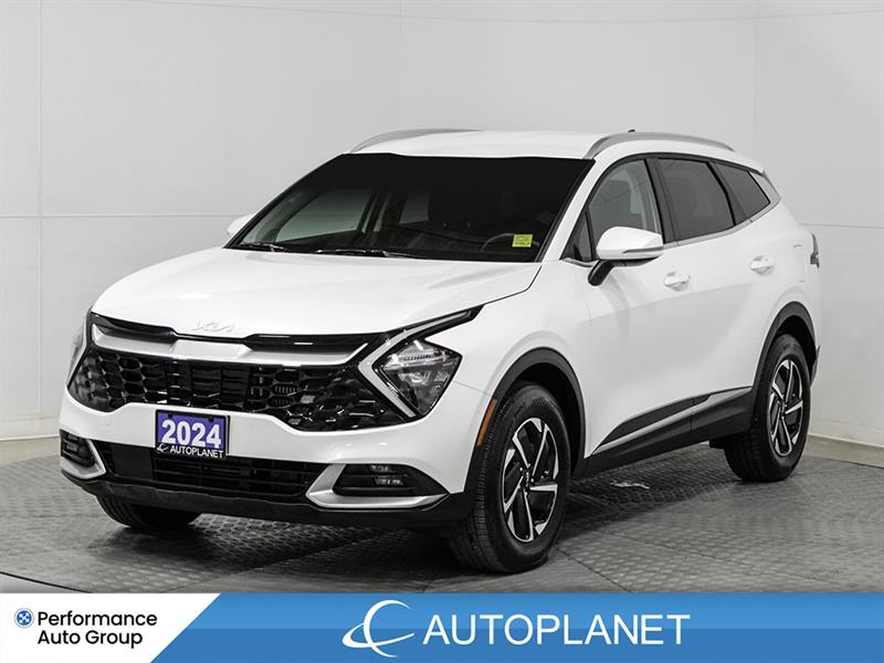 kia Sportage Hybrid 2024