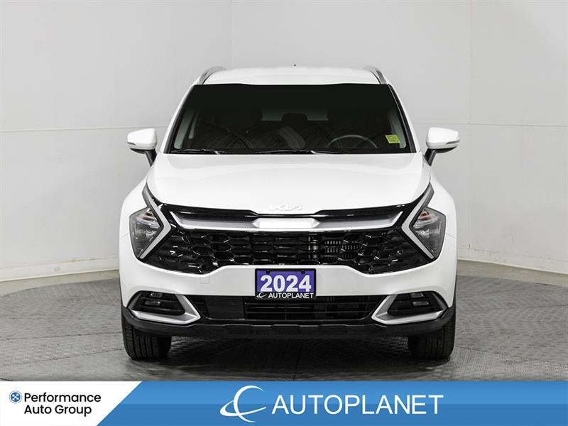 kia Sportage Hybrid 2024 - 2