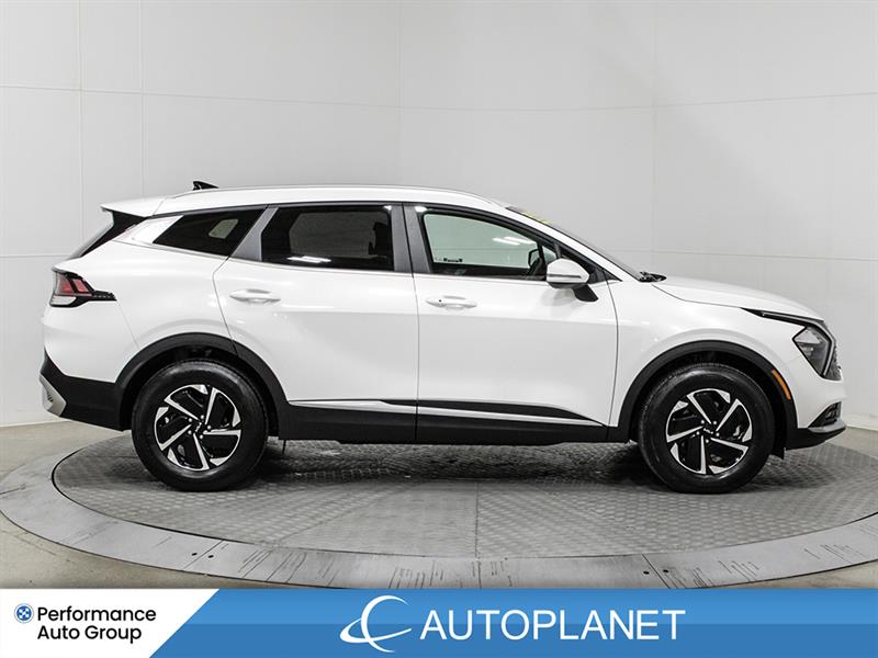 kia Sportage Hybrid 2024 - 5