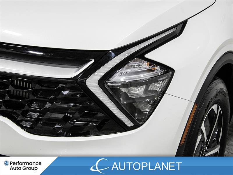 kia Sportage Hybrid 2024 - 10