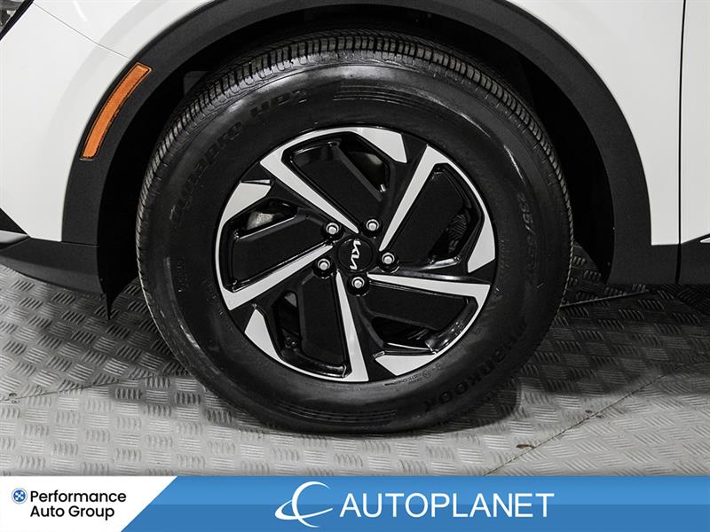 kia Sportage Hybrid 2024 - 12