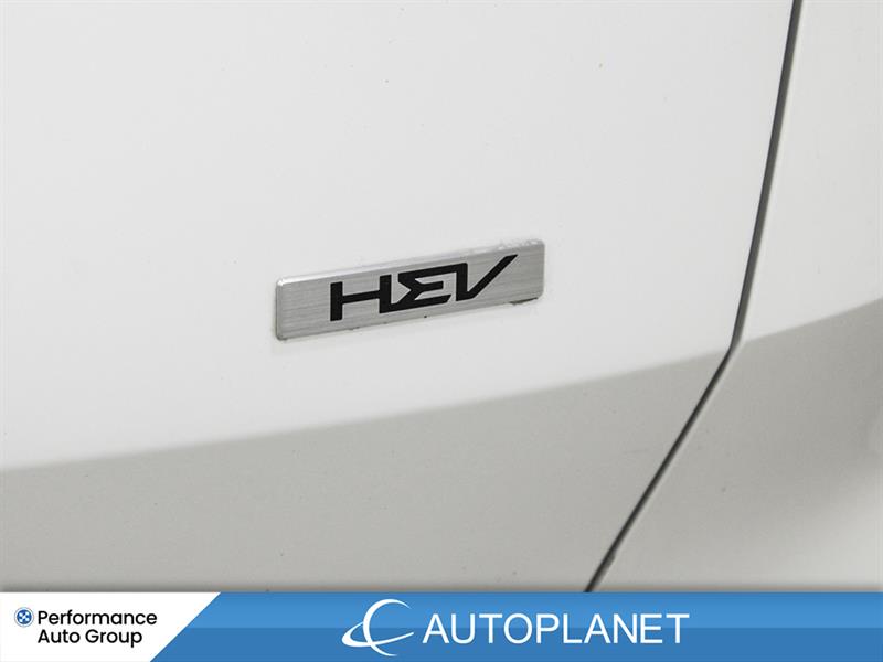 kia Sportage Hybrid 2024 - 14