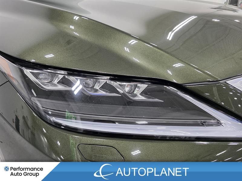lexus RX 350 2022 - 13