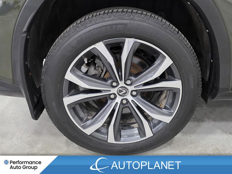 lexus RX 350 2022 - 14