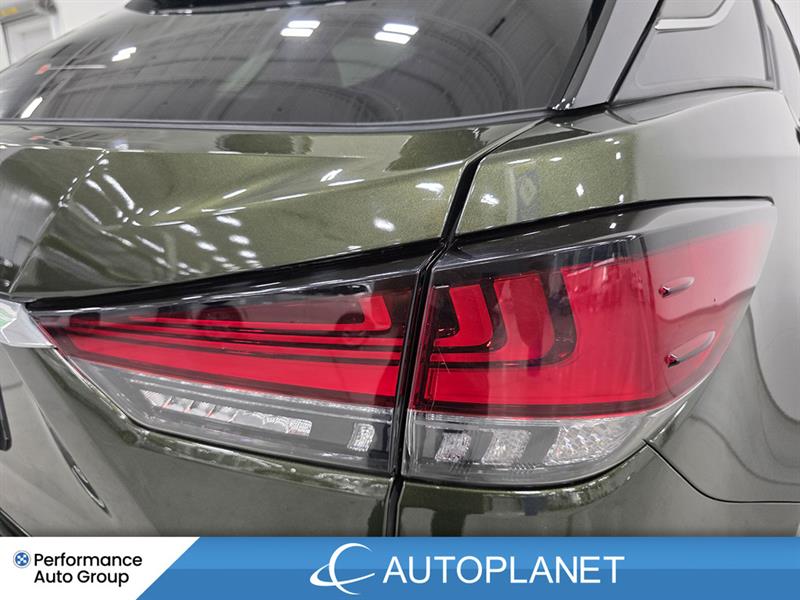 lexus RX 350 2022 - 15