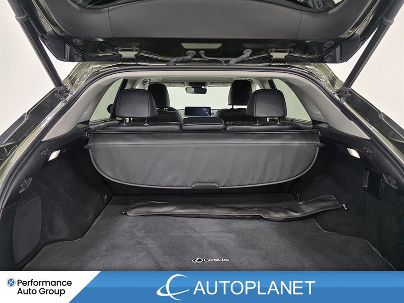lexus RX 350 2022 - 16