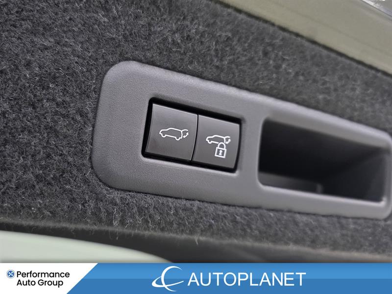 lexus RX 350 2022 - 17