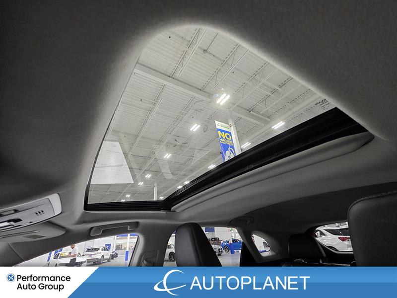 lexus RX 350 2022 - 19