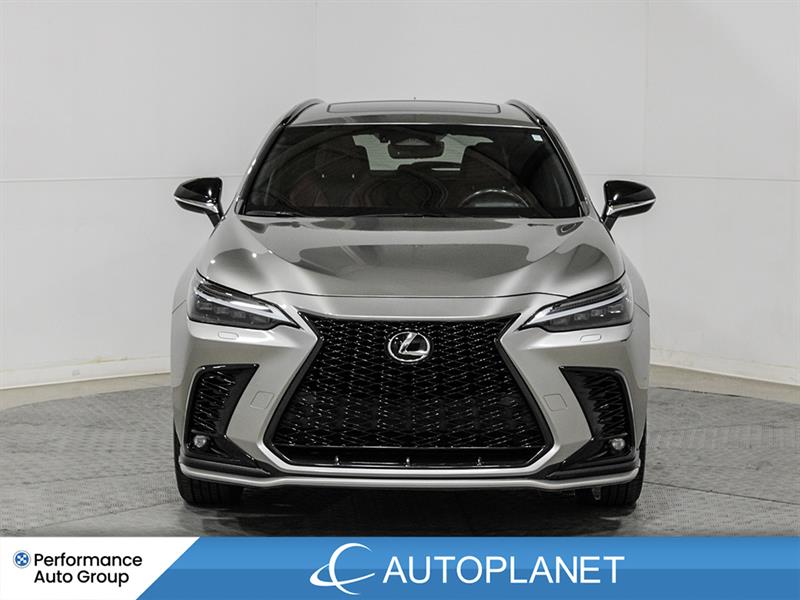 lexus NX 350 2022 - 2