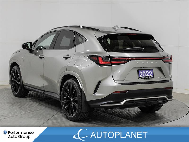 lexus NX 350 2022 - 5