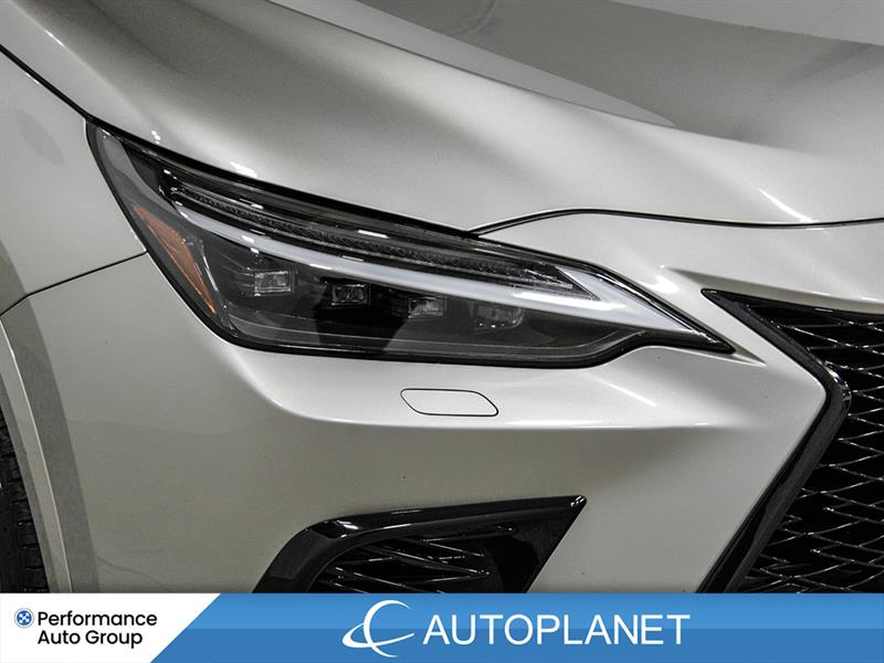 lexus NX 350 2022 - 11