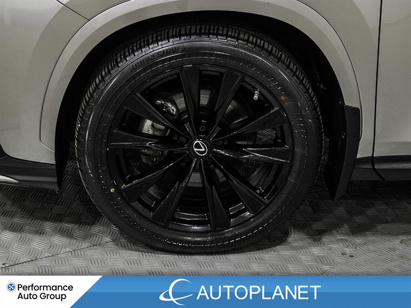 lexus NX 350 2022 - 12