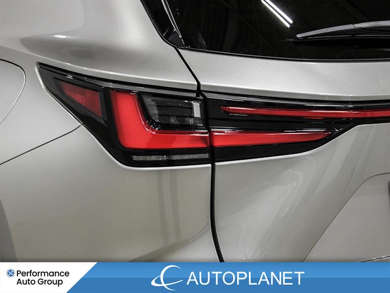 lexus NX 350 2022 - 13