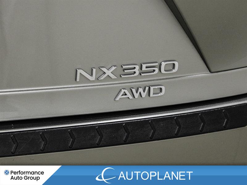 lexus NX 350 2022 - 14