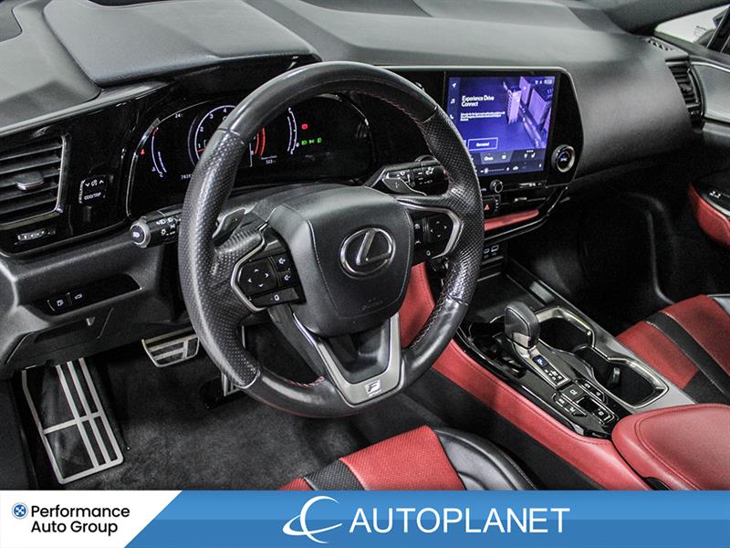 lexus NX 350 2022 - 24