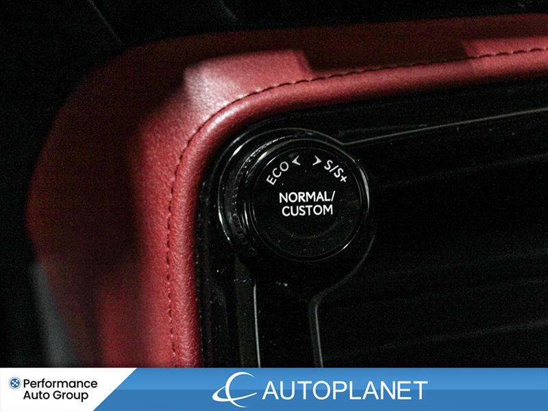 lexus NX 350 2022 - 25
