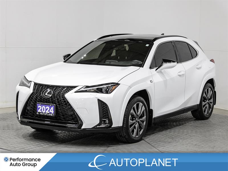lexus UX 250H 2024
