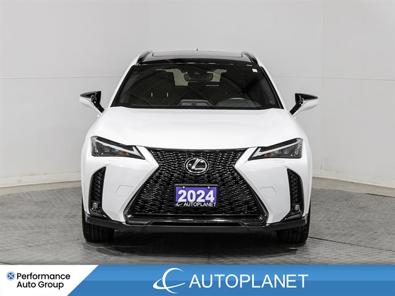 lexus UX 250H 2024 - 2
