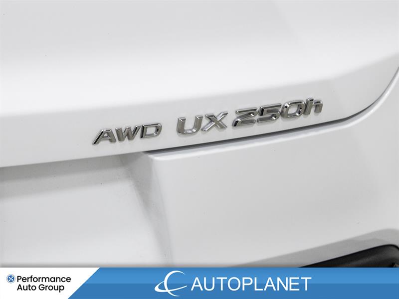 lexus UX 250H 2024 - 13