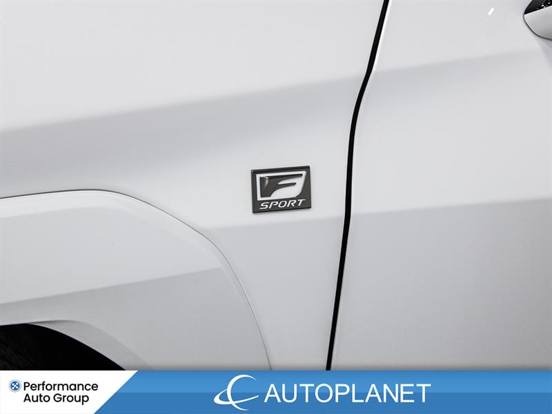 lexus UX 250H 2024 - 14