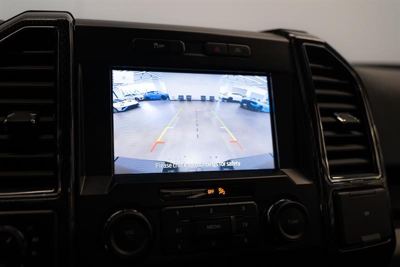 ford F-150 2020 - 10