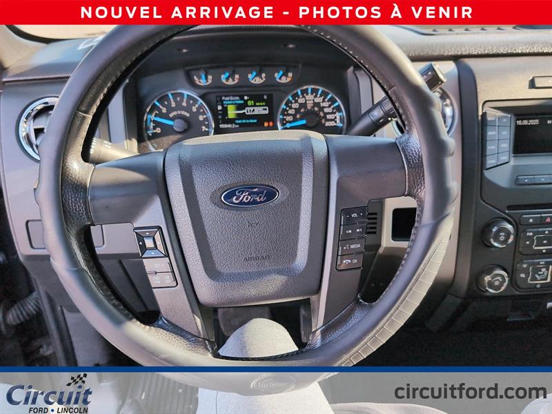 ford F-150 2013 - 10