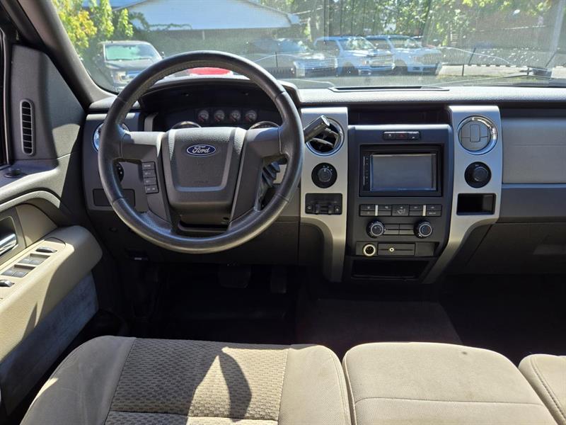 ford F-150 2010 - 14