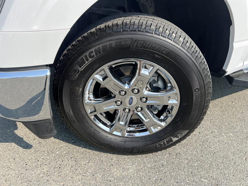 ford F-150 2021 - 13