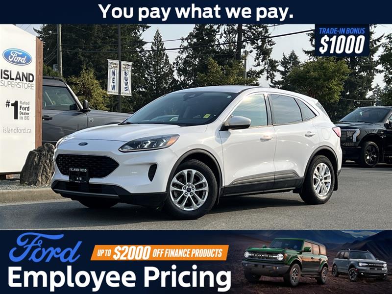 ford Escape 2020