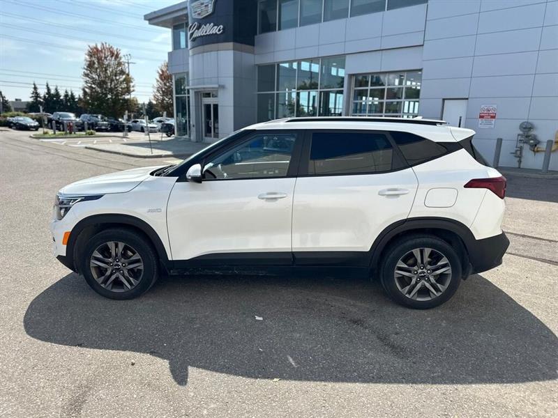 kia Seltos 2023 - 8