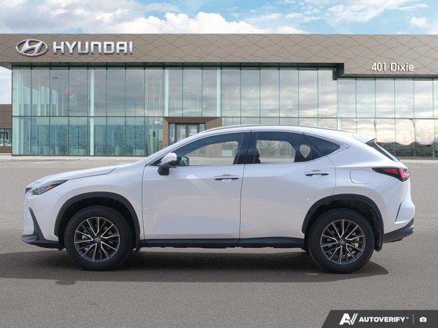 lexus NX 2024 - 2