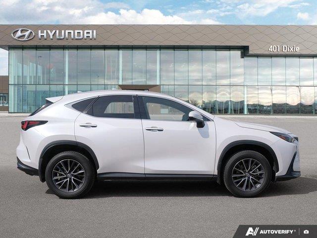 lexus NX 2024 - 6