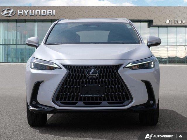 lexus NX 2024 - 8