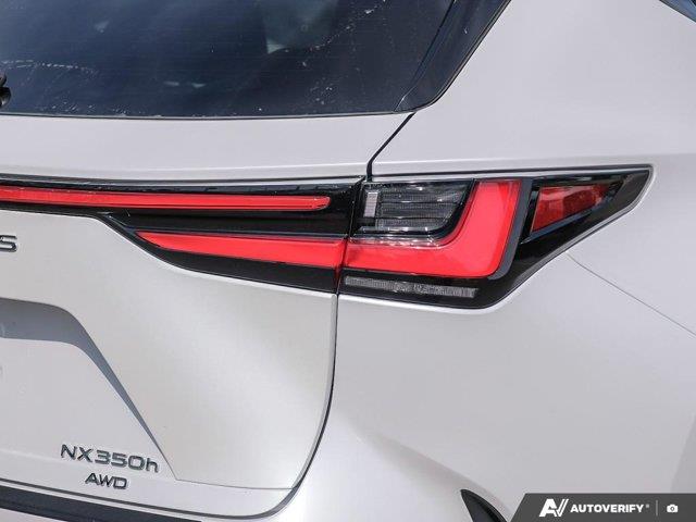lexus NX 2024 - 14