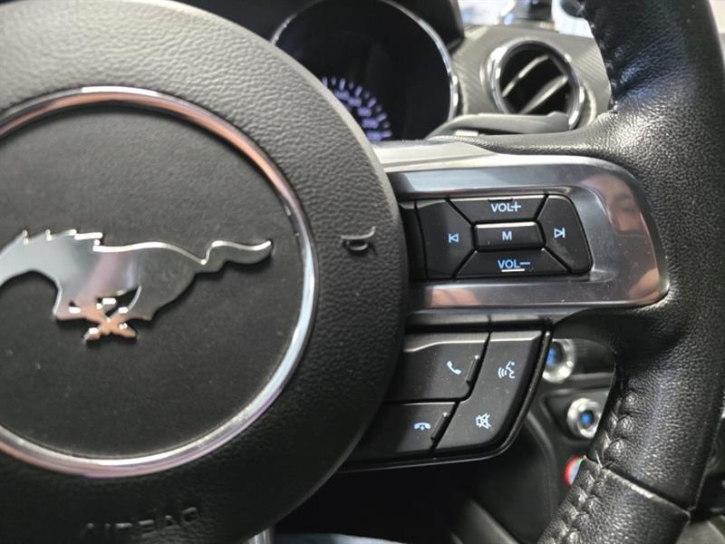 ford Mustang 2017 - 25