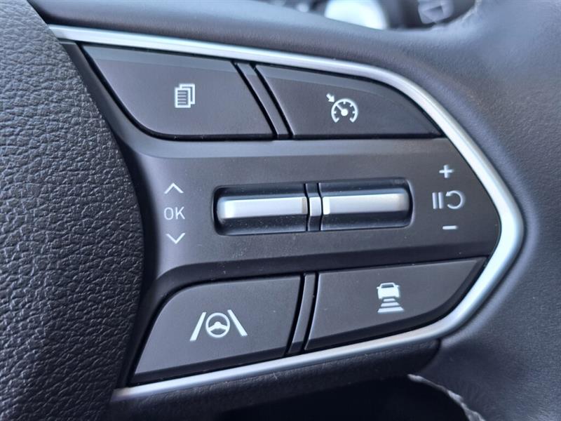 hyundai Santa Fe Hybrid 2023 - 17