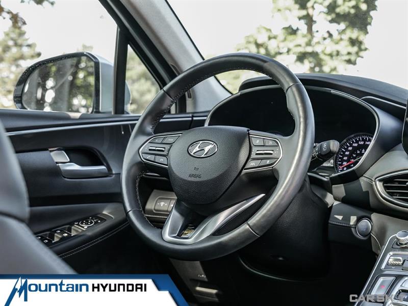 hyundai Santa Fe 2023 - 17