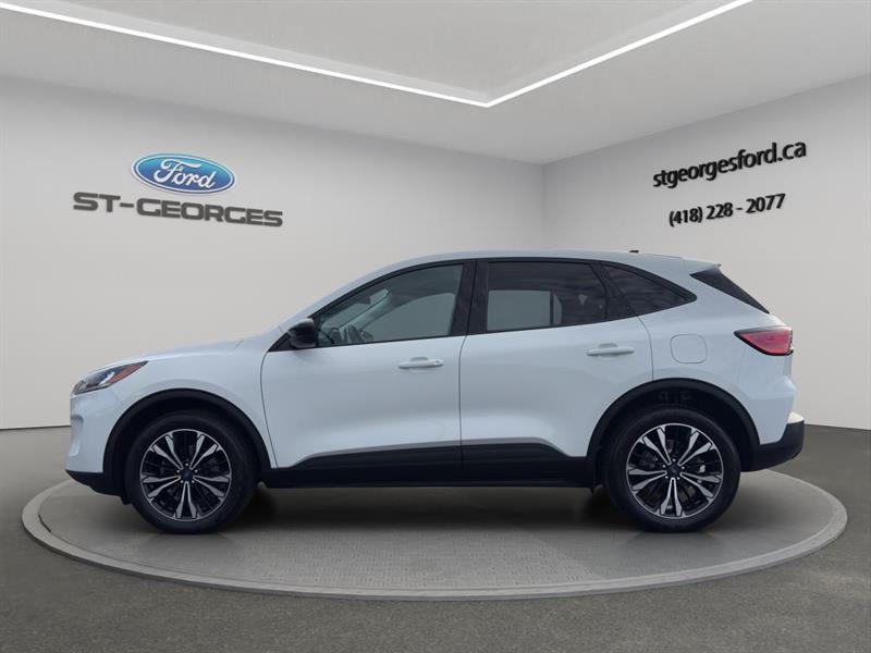 ford Escape 2021 - 2