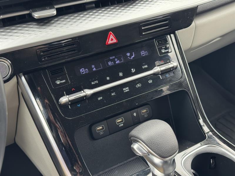 kia Carnival 2023 - 13