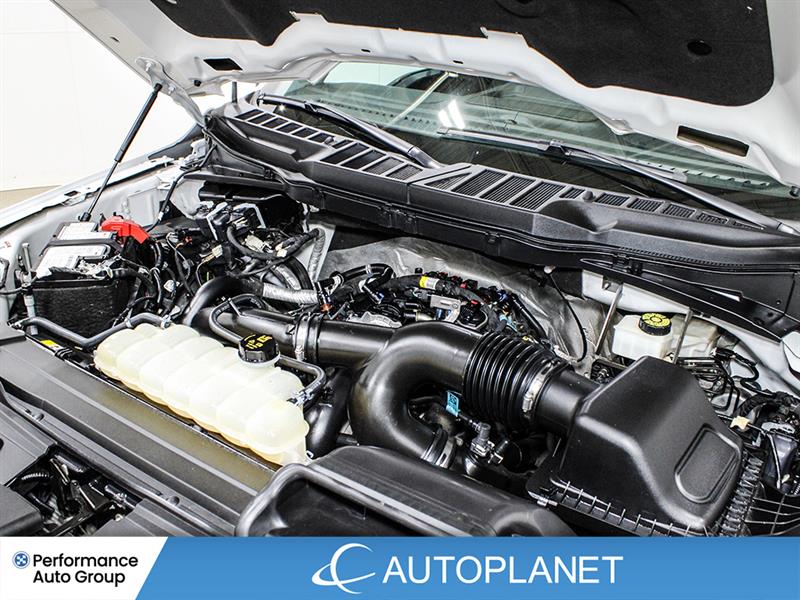 ford F-150 2023 - 15